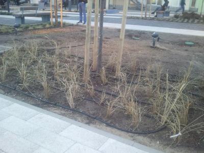 Прикрепленное изображение: 2.jpg